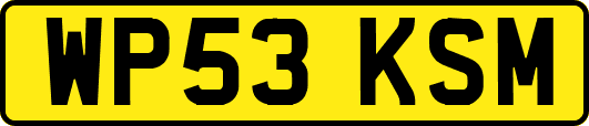 WP53KSM