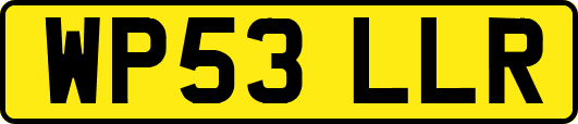 WP53LLR