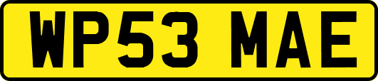 WP53MAE