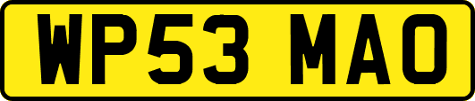 WP53MAO