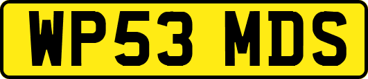 WP53MDS