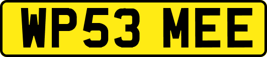 WP53MEE