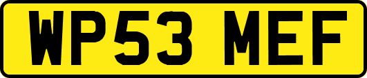 WP53MEF