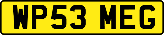 WP53MEG