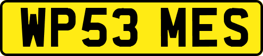 WP53MES