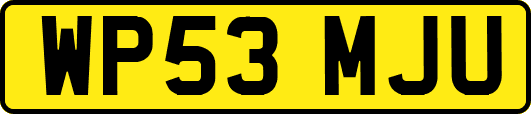 WP53MJU