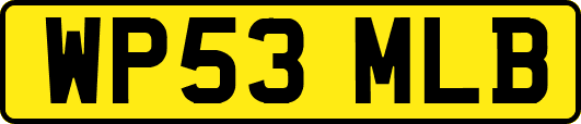 WP53MLB