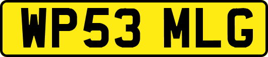 WP53MLG