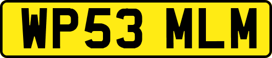 WP53MLM