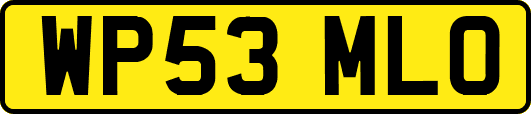 WP53MLO