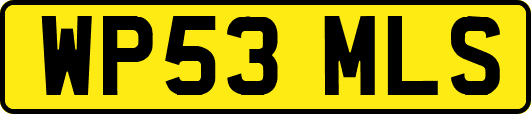 WP53MLS