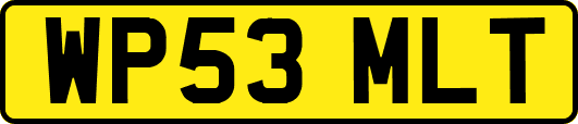 WP53MLT