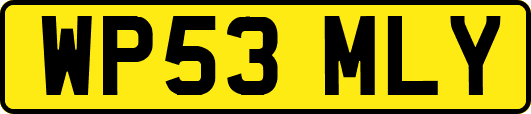 WP53MLY