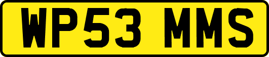 WP53MMS