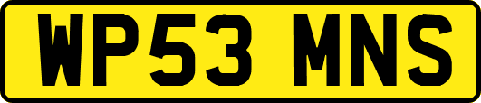 WP53MNS