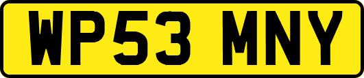 WP53MNY