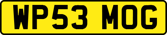 WP53MOG