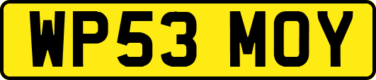 WP53MOY