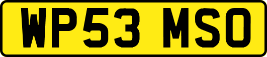 WP53MSO