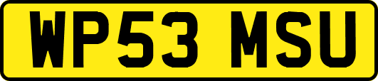 WP53MSU