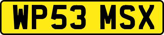 WP53MSX
