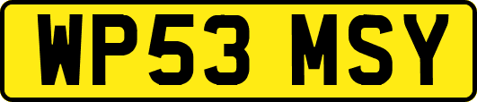 WP53MSY