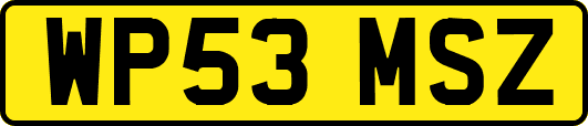 WP53MSZ