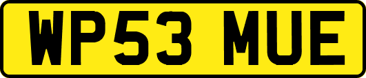 WP53MUE