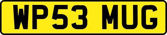 WP53MUG