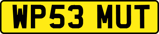 WP53MUT