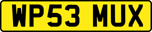 WP53MUX