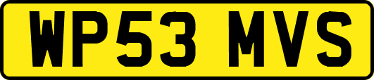 WP53MVS