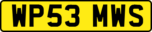 WP53MWS