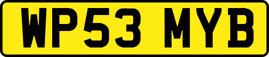 WP53MYB