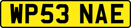 WP53NAE