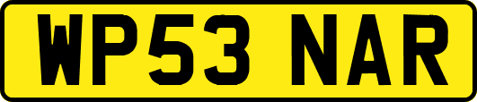 WP53NAR
