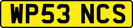 WP53NCS