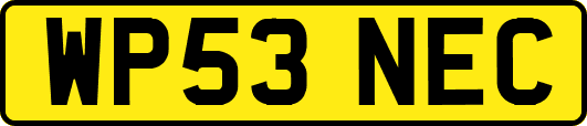 WP53NEC