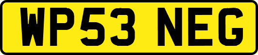 WP53NEG