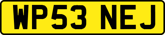 WP53NEJ