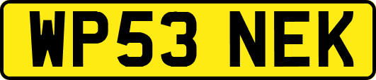 WP53NEK