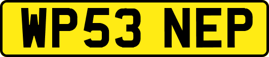 WP53NEP