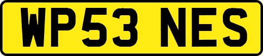 WP53NES