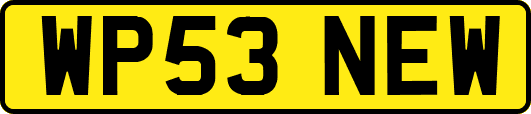 WP53NEW