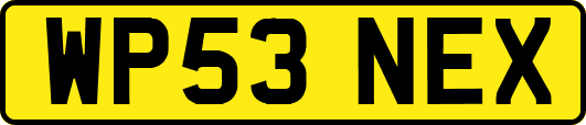 WP53NEX