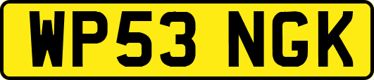 WP53NGK
