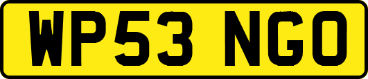 WP53NGO
