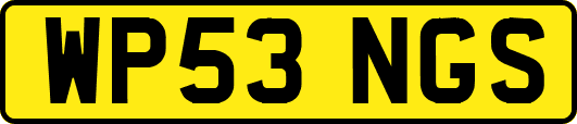 WP53NGS