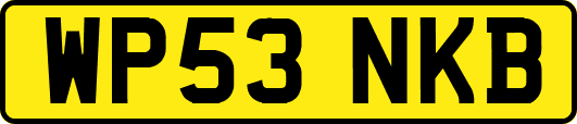 WP53NKB