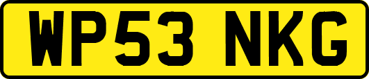 WP53NKG